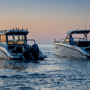 eFoil Experience – 2 Hour Lesson with Land & Sea